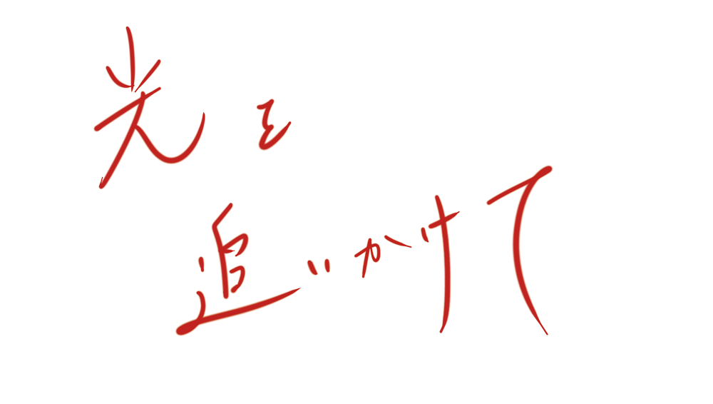 映画『光を追いかけて』